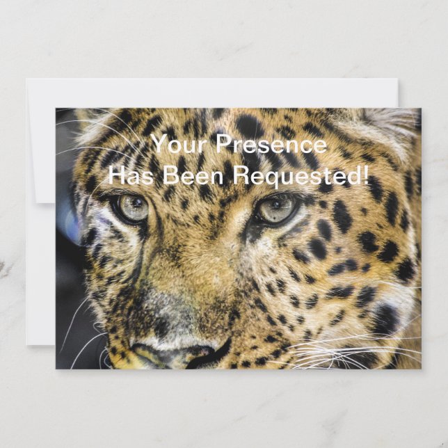 Die Augen eines Leoparden Einladung (Vorderseite)