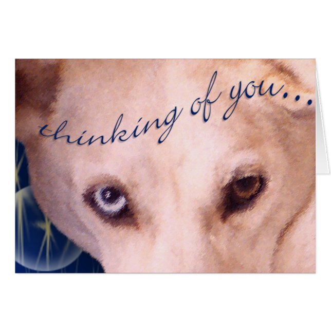 Die Augen haben es! (Vorderseite (Horizontal))