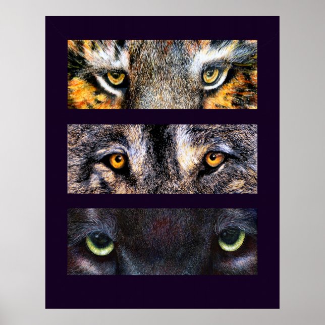 Die Augen haben es, Poster (Vorne)