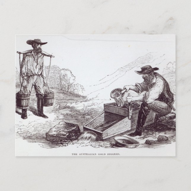 Die australischen Goldgräber Postkarte (Vorderseite)