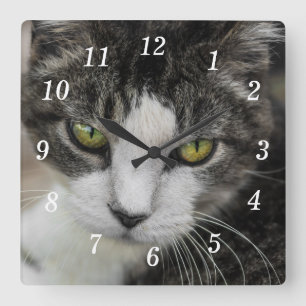 Die Baby-Look-Wall-Uhr Quadratische Wanduhr