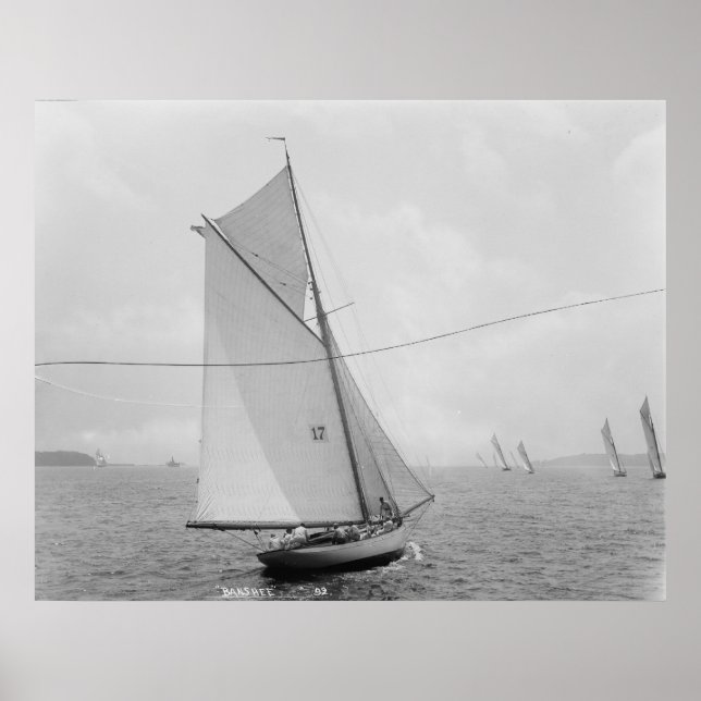 Die Banshee Poster (Vorne)