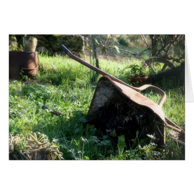 Die Barriere (Vorderseite (Horizontal))