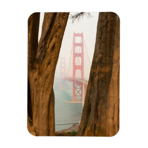 Die Bäume Golden gate bridges von übersehen Magnet
