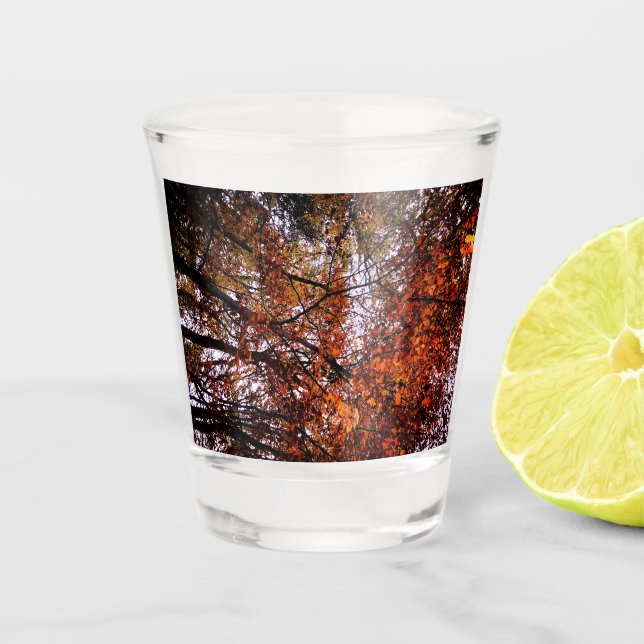 Die Baumgipfel Schnapsglas (Vorderseite)