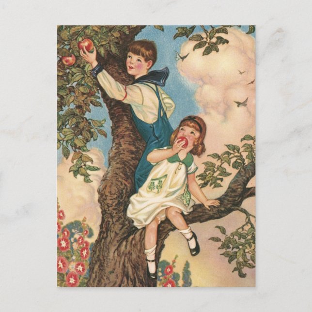 Die Baumkletterer Postkarte (Vorderseite)