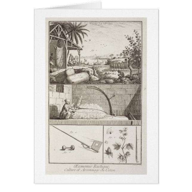 Die Bearbeitung von Baumwolle, vom 'Encyclopedia (Vorne)
