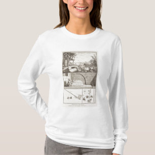 Die Bearbeitung von Baumwolle, vom 'Encyclopedia T-Shirt