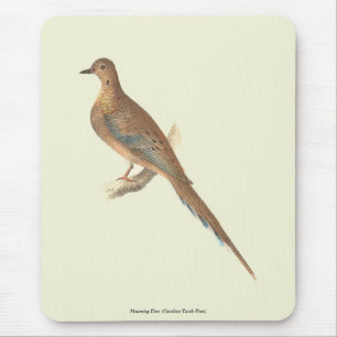 Die beklagende Taube (Carolina Turtle Dove) NY Vög Mousepad