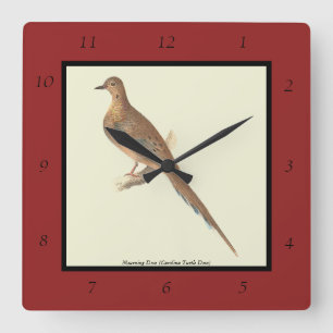 Die beklagende Taube (Carolina Turtle Dove) NY Vög Quadratische Wanduhr