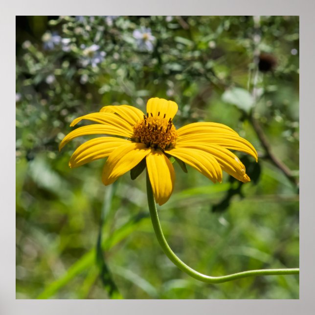 Die Bend Floral Poster (Vorne)