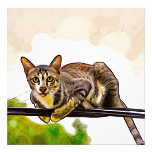 Die bengalische Katze Fotodruck