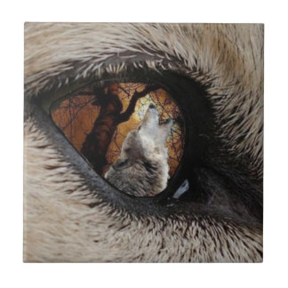 Die Beobachter Fliese oder das Trivet