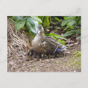 Die beste Mutter der Welt Postkarte