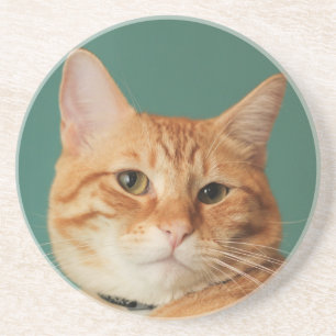 Die beste Seite des Lokis Untersetzer