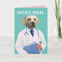 Die Bestellungen von Funny Gelbe Labrador heilen u