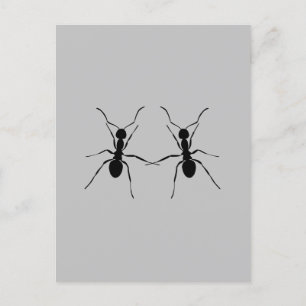 Die besten Freunde. Ant Couple Postkarte