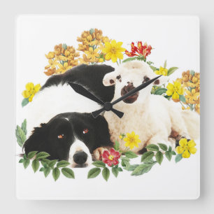 Die besten Freunde - Border Collie und kleines Lam Quadratische Wanduhr