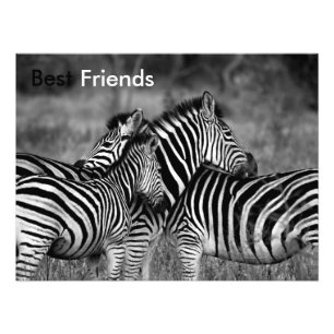 Die besten Freunde Fotodruck