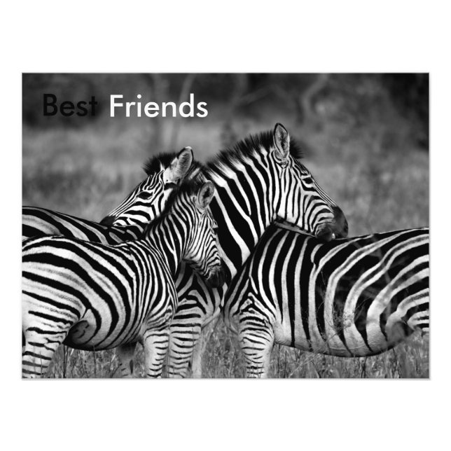 Die besten Freunde Fotodruck (Vorne)