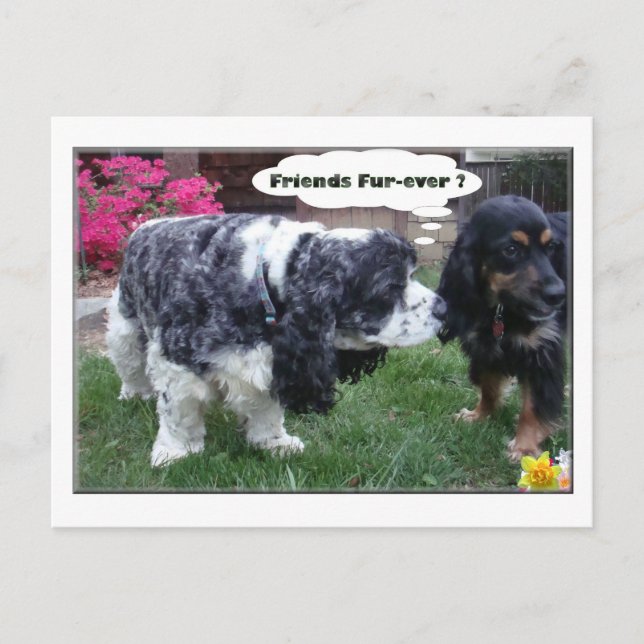 Die besten Freunde für alle Zeiten Postkarte (Vorderseite)