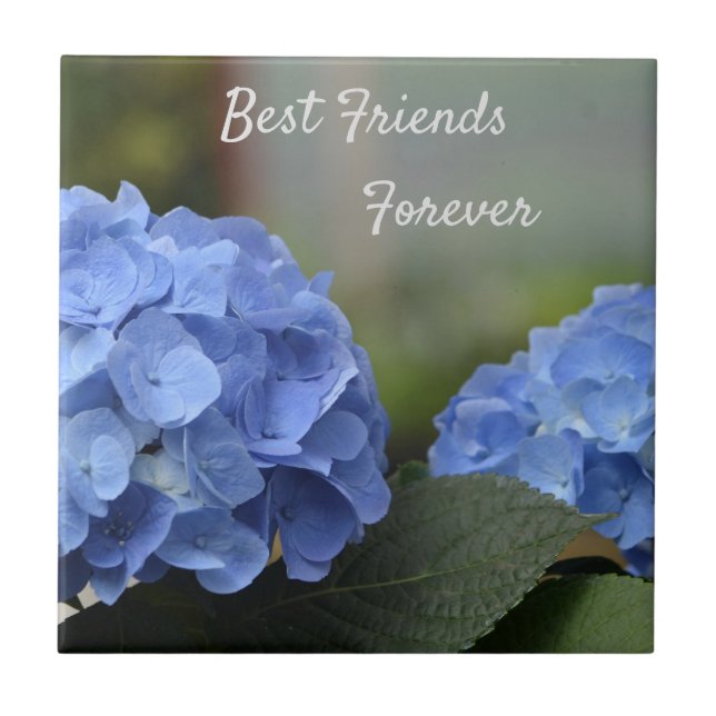 Die besten Freunde für die Hydrangeas Fliese (Vorderseite)
