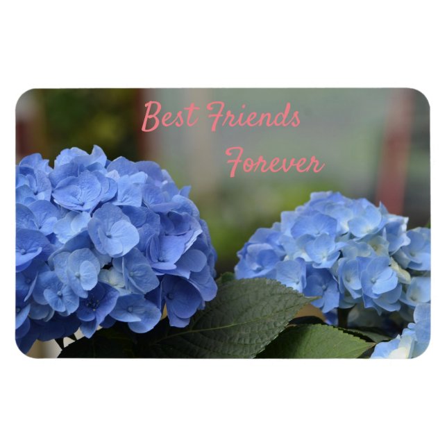 Die besten Freunde für die Hydrangeas Magnet (Horizontal)