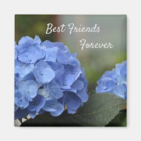 Die besten Freunde für die Hydrangeas