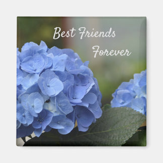 Die besten Freunde für die Hydrangeas Magnet