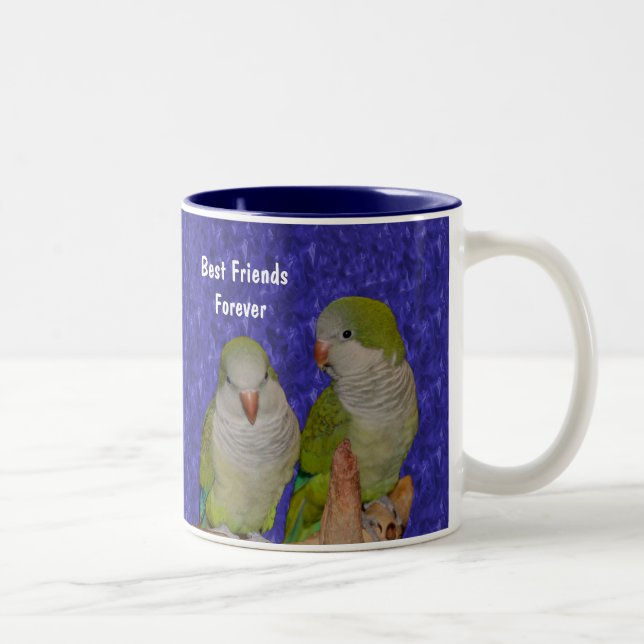 Die besten Freunde für die Niedliche Vogelwelt-Tas Zweifarbige Tasse (Rechts)