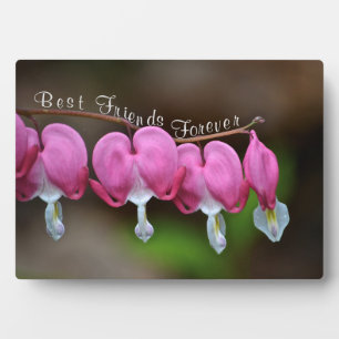 Die besten Freunde für immer Fotoplatte