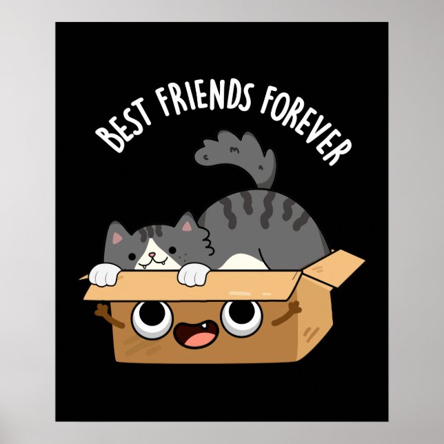 Die besten Freunde für immer Funny Cat and Box Pun Poster (Vorne)