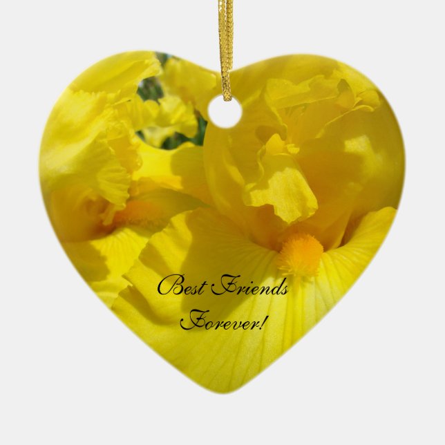 Die besten Freunde für immer! Geschenke Ornamente  (Vorne)