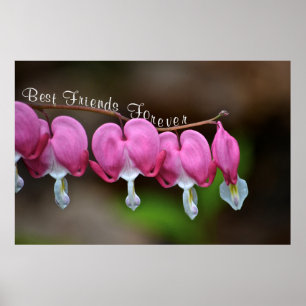 Die besten Freunde für immer Poster