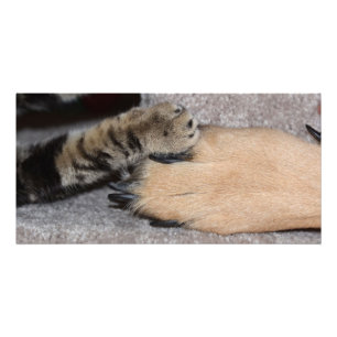 Die besten Freunde für immer von Shirley Taylor Fotodruck