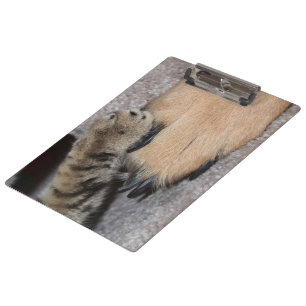 Die besten Freunde für immer von Shirley Taylor Klemmbrett