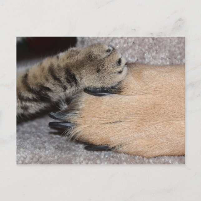 Die besten Freunde für immer von Shirley Taylor Postkarte (Vorderseite)