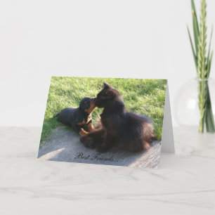 Die besten Freunde Karte