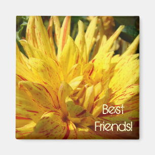 Die besten Freunde! Magnet Gelbe rote Dahlia Blume