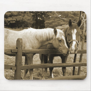 Die besten Freunde Mousepad