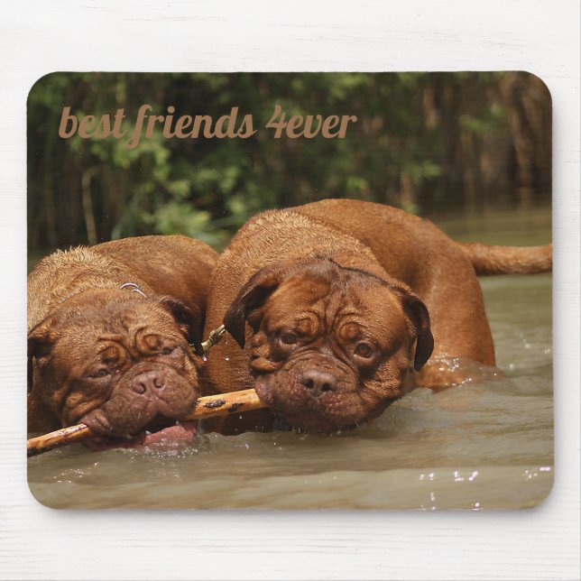 Die besten Freunde Mousepad (Vorne)