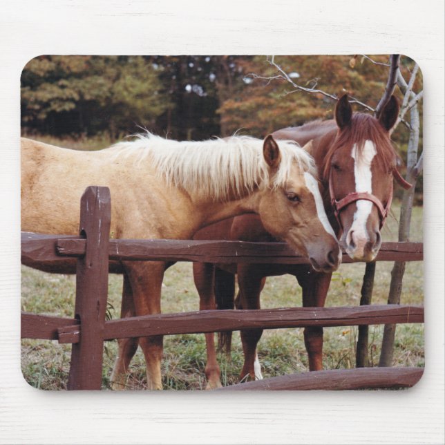 Die besten Freunde Mousepad (Vorne)