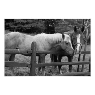 Die besten Freunde Poster