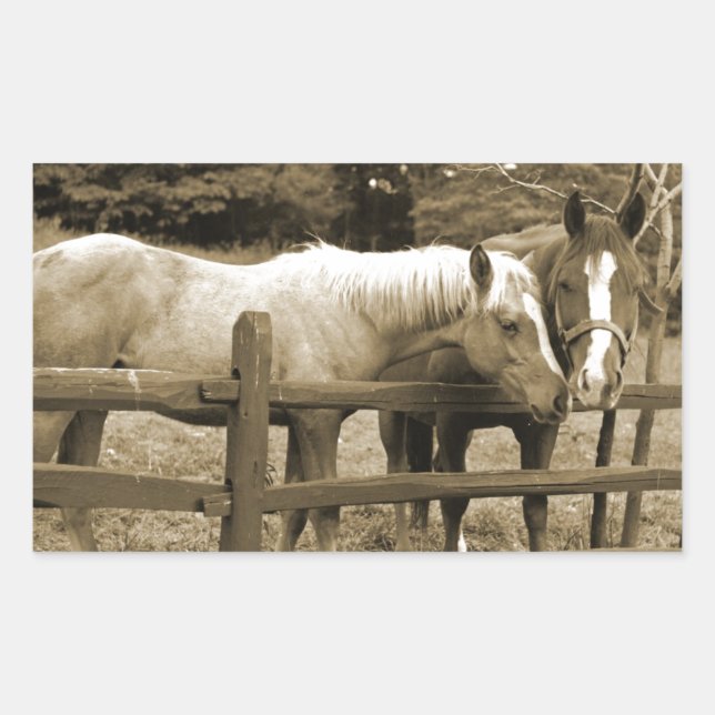 Die besten Freunde Rechteckiger Aufkleber (Vorderseite)