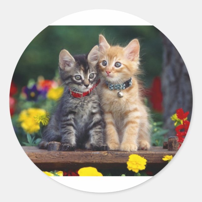 Die besten Freunde Runder Aufkleber (Vorderseite)