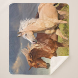 Die besten Freunde Sherpadecke