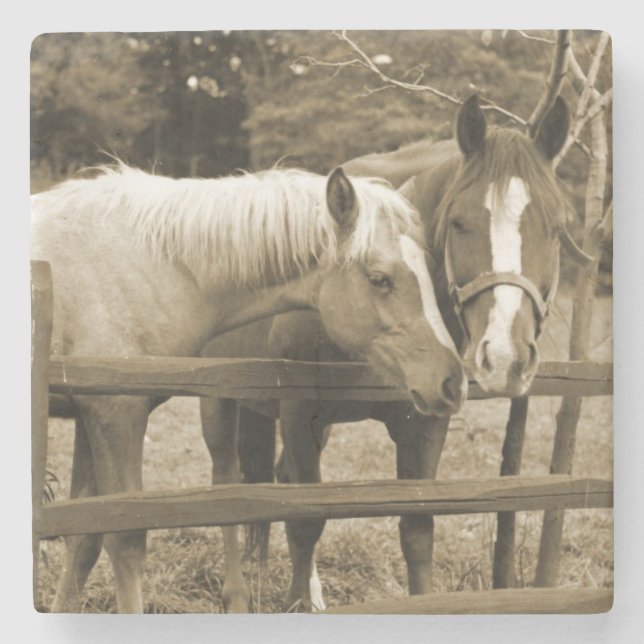 Die besten Freunde Steinuntersetzer (Vorderseite)