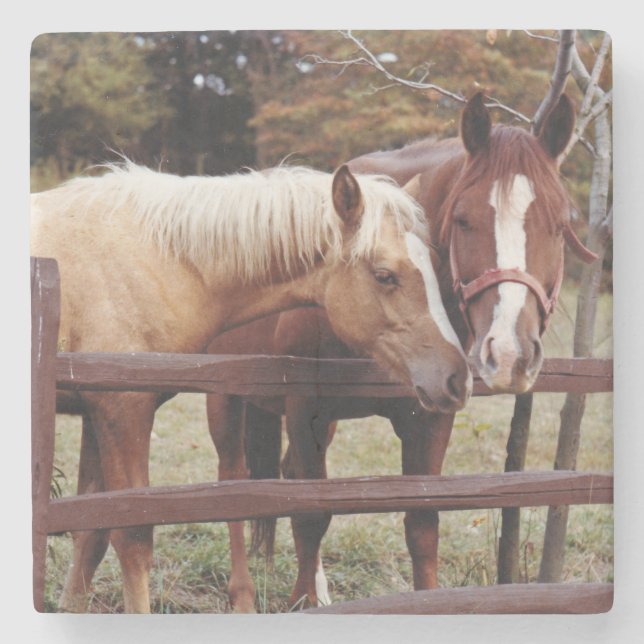 Die besten Freunde Steinuntersetzer (Vorderseite)