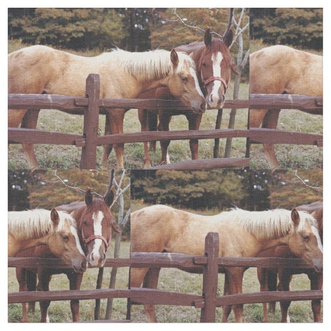 Die besten Freunde Stoff (Nahaufnahme)