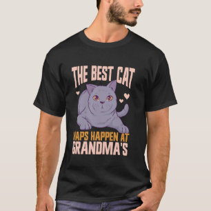 Die besten Katzennickerchen passieren bei Omas Kat T-Shirt